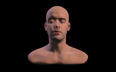 Ein 3D-Modell eines Kopfes.